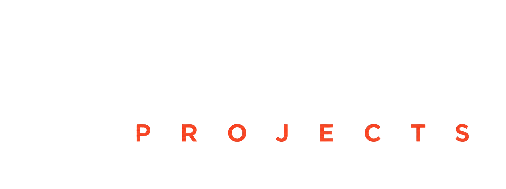 SVELEX PROJECTS